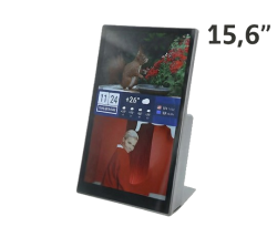 Сенсорный тейбл-тент 15,6 дюйма